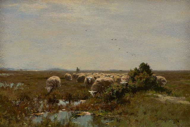 Willem Steelink jr. | Grazende schapen op de heide, olieverf op doek, 33,1 x 48,0 cm, gesigneerd r.o. en zonder lijst
