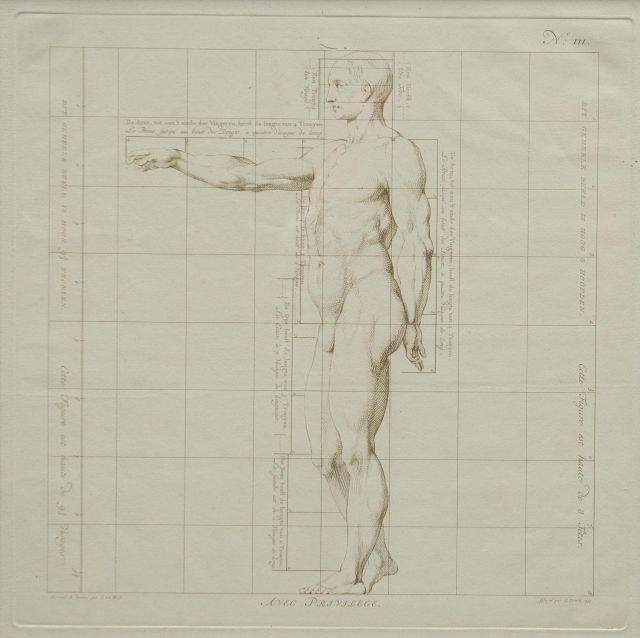 Wit J. de | De ideale proporties van het menselijk lichaam - Man (no.III), gravure op papier 40,0 x 40,0 cm