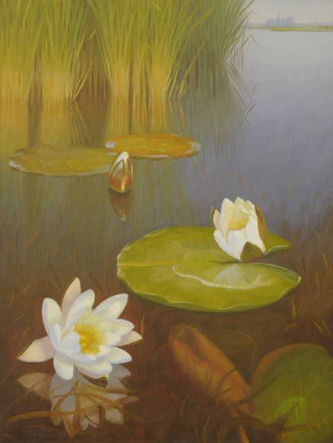Smorenberg D.  | Waterlelies in de Loosdrechtse plassen, olieverf op doek 50,5 x 39,0 cm, gesigneerd r.o.