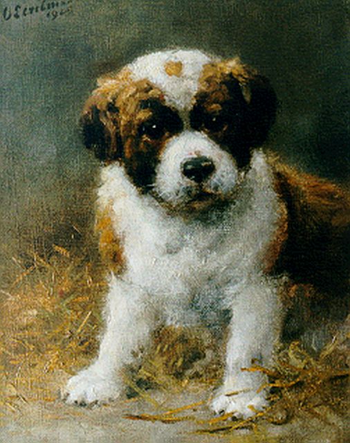 Eerelman O.  | Sint-Bernard pup, olieverf op doek 30,2 x 24,4 cm, gesigneerd l.b. en gedateerd 1925