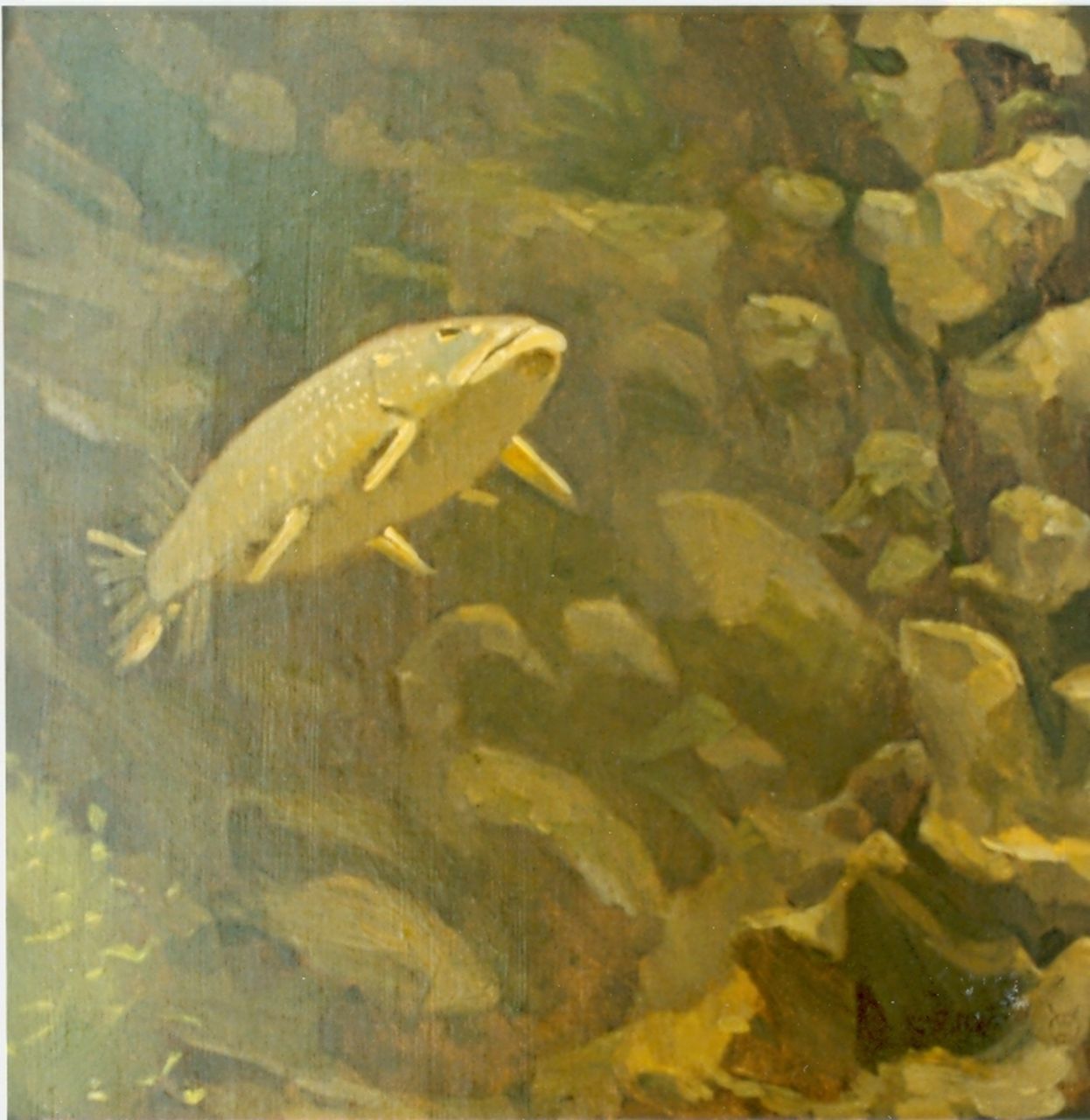 Dijsselhof G.W.  | Gerrit Willem Dijsselhof, Pike perch, oil on canvas 35.5 x 35.5 cm, signed l.c.