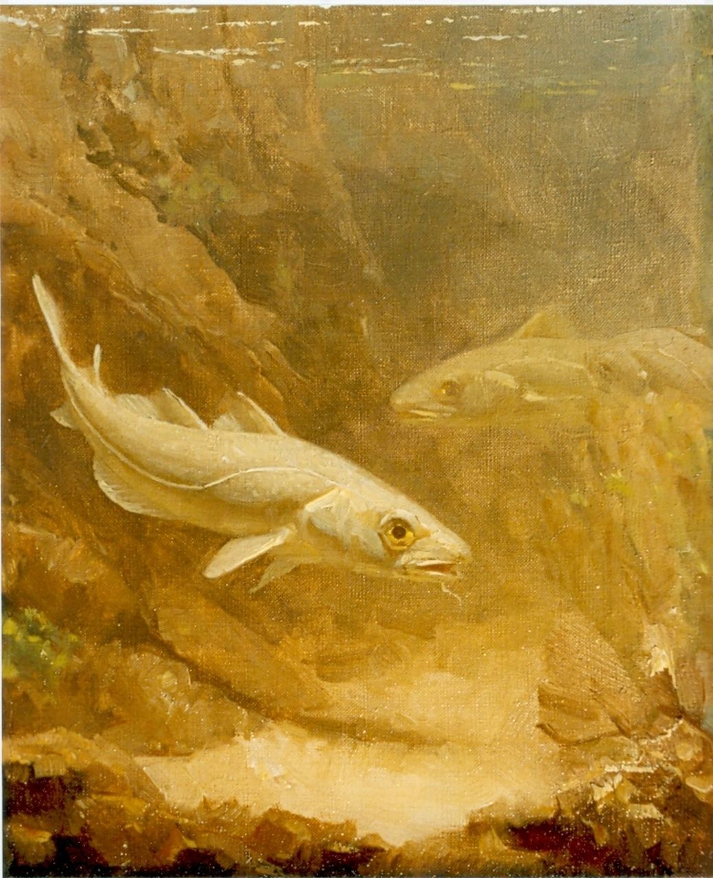 Dijsselhof G.W.  | Gerrit Willem Dijsselhof, Cod, oil on canvas 24.0 x 20.0 cm, signed with monogram. l.o.