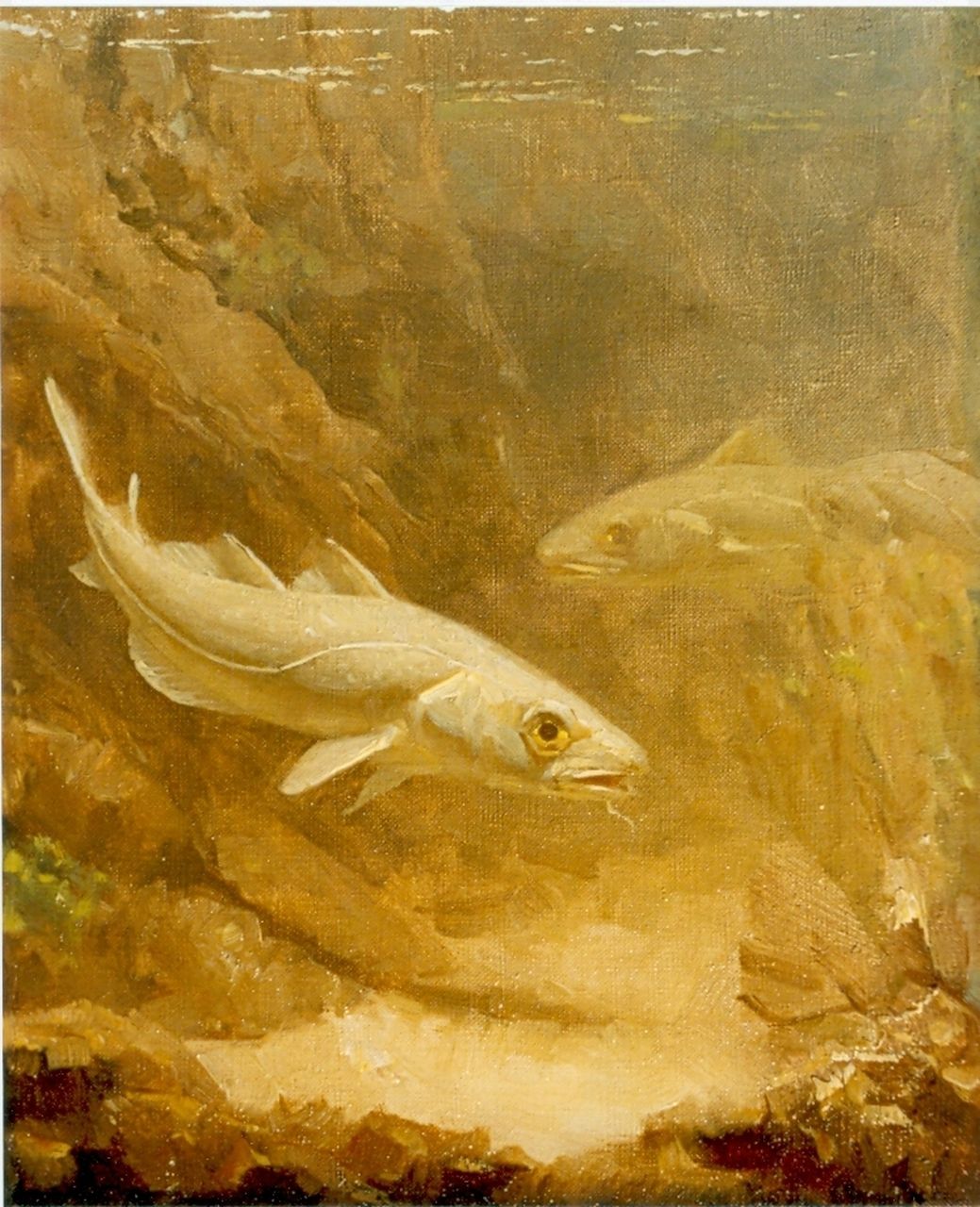 Dijsselhof G.W.  | Gerrit Willem Dijsselhof, Cod, oil on canvas 24.0 x 20.0 cm, signed with monogram. l.o.