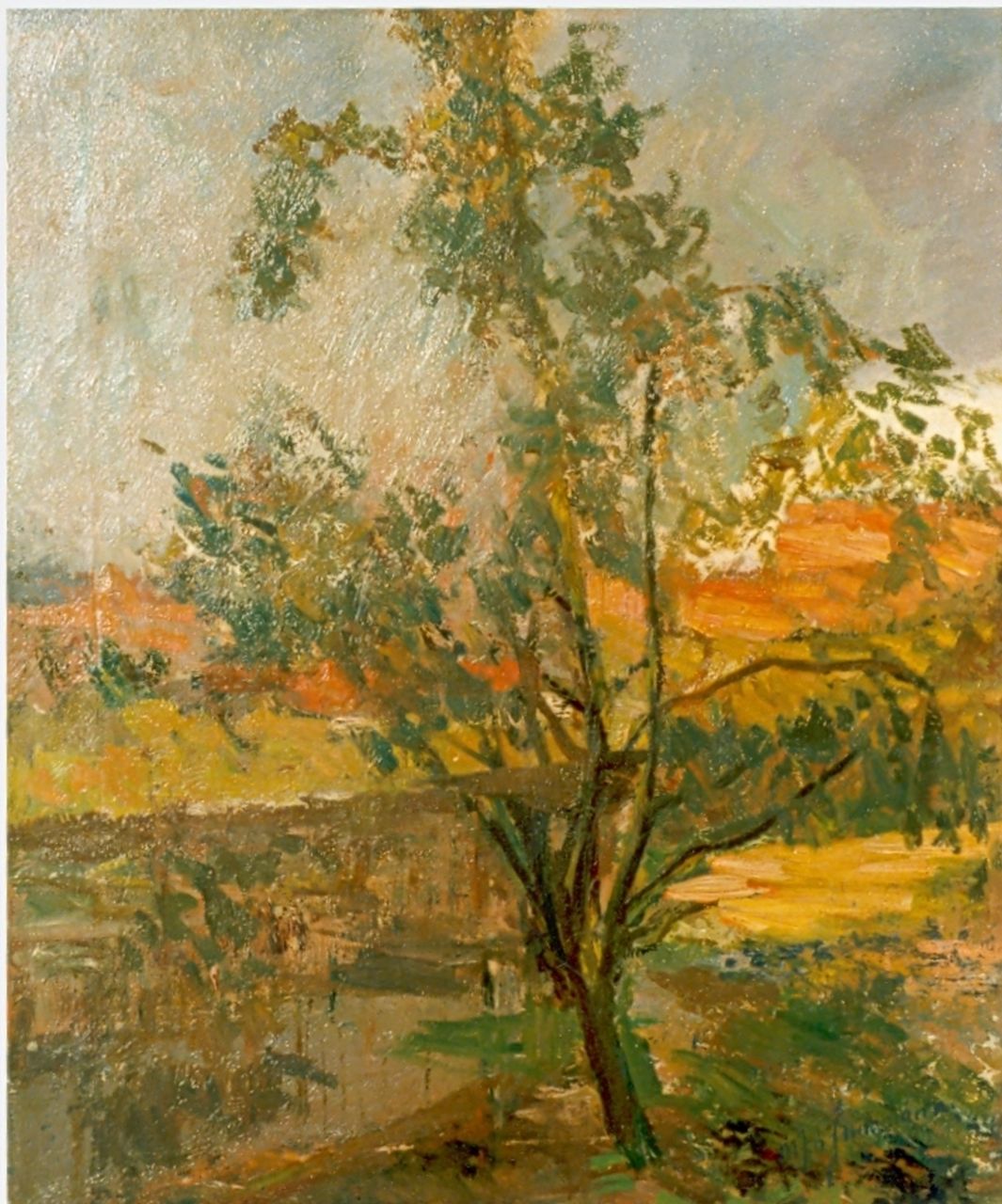 Jungmann M.J.B.  | 'Maarten' Johannes Balthasar Jungmann, A tree in a summer landscape, oil on canvas 57.3 x 48.0 cm, signed l.r.