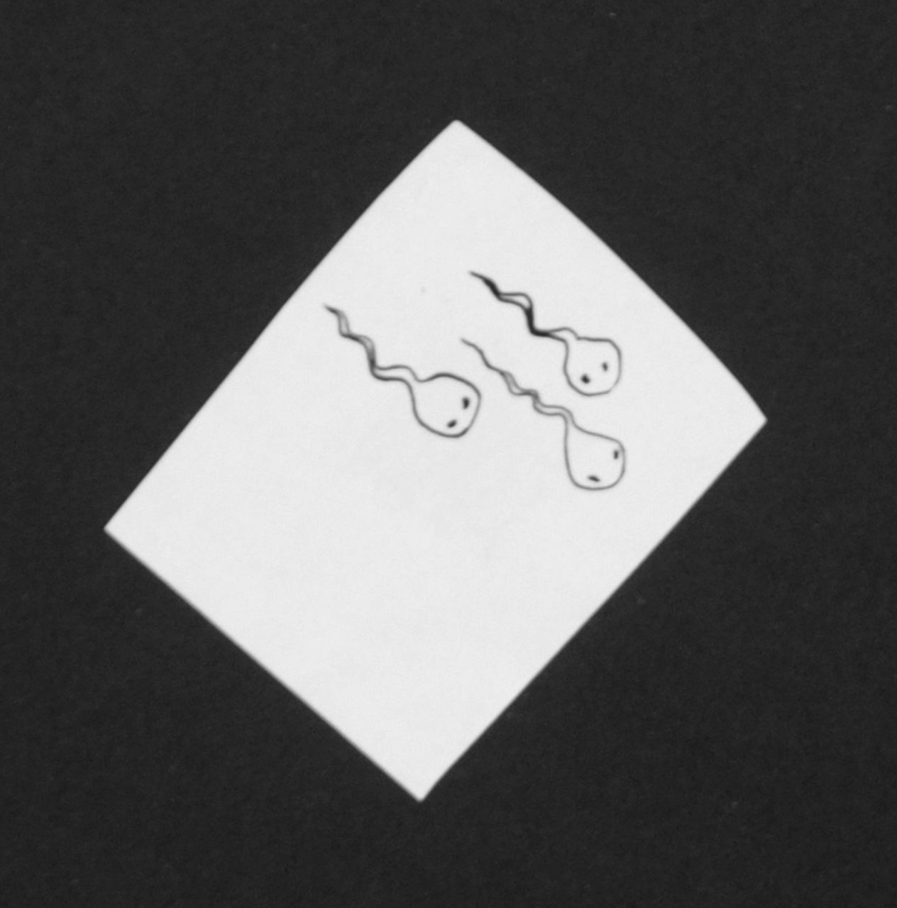 Oranje-Nassau (Prinses Beatrix) B.W.A. van | Beatrix Wilhelmina Armgard van Oranje-Nassau (Prinses Beatrix), Three tadpoles, pencil and black ink on paper 5.2 x 4.1 cm, executed August 1960