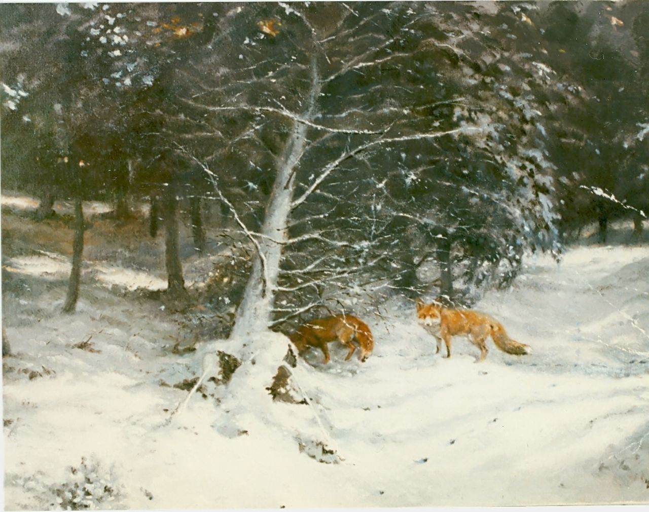 Poortvliet R.  | Rien Poortvliet, Foxes in a snow-covered landscape, oil on canvas 60.5 x 80.0 cm, signed l.r.