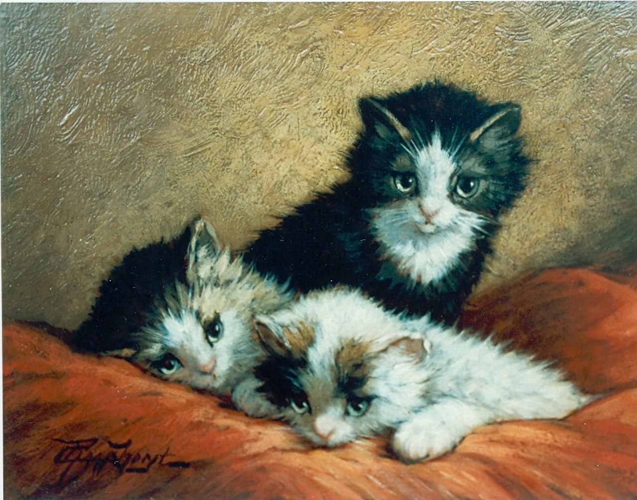 Raaphorst C.  | Cornelis Raaphorst, Three kittens, oil on panel 18.4 x 24.4 cm, signed l.l.