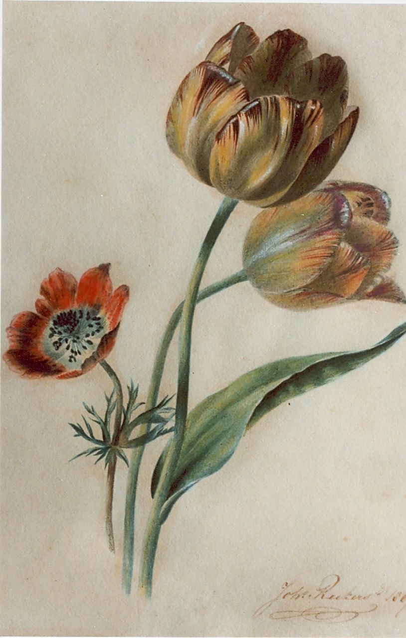 Reekers jr. Joh.  | Johannes Reekers jr., Tulips, watercolour on paper 28.9 x 19.7 cm, signed l.r. and dated 1867