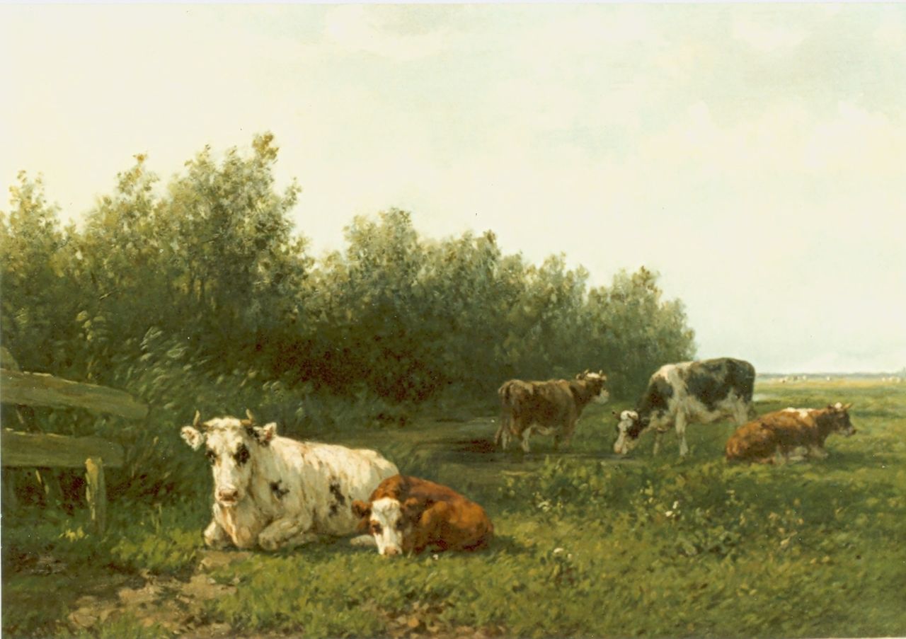 Vester W.  | Willem Vester, Cows in a meadow, oil on canvas 44.2 x 70.2 cm, signed l.l.