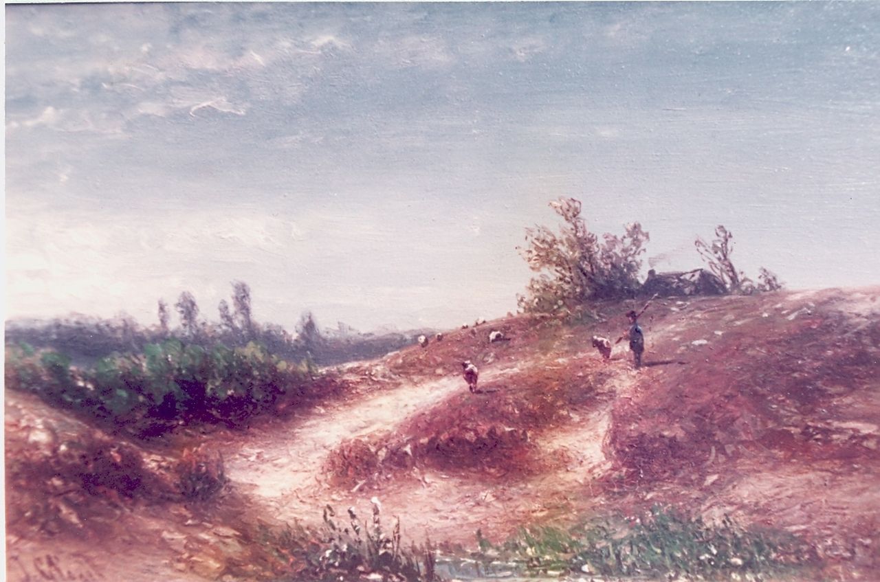 Vogel J.G.  | Johannes Gijsbert Vogel, Heath landscape, oil on panel 20.7 x 32.0 cm, signed l.l.