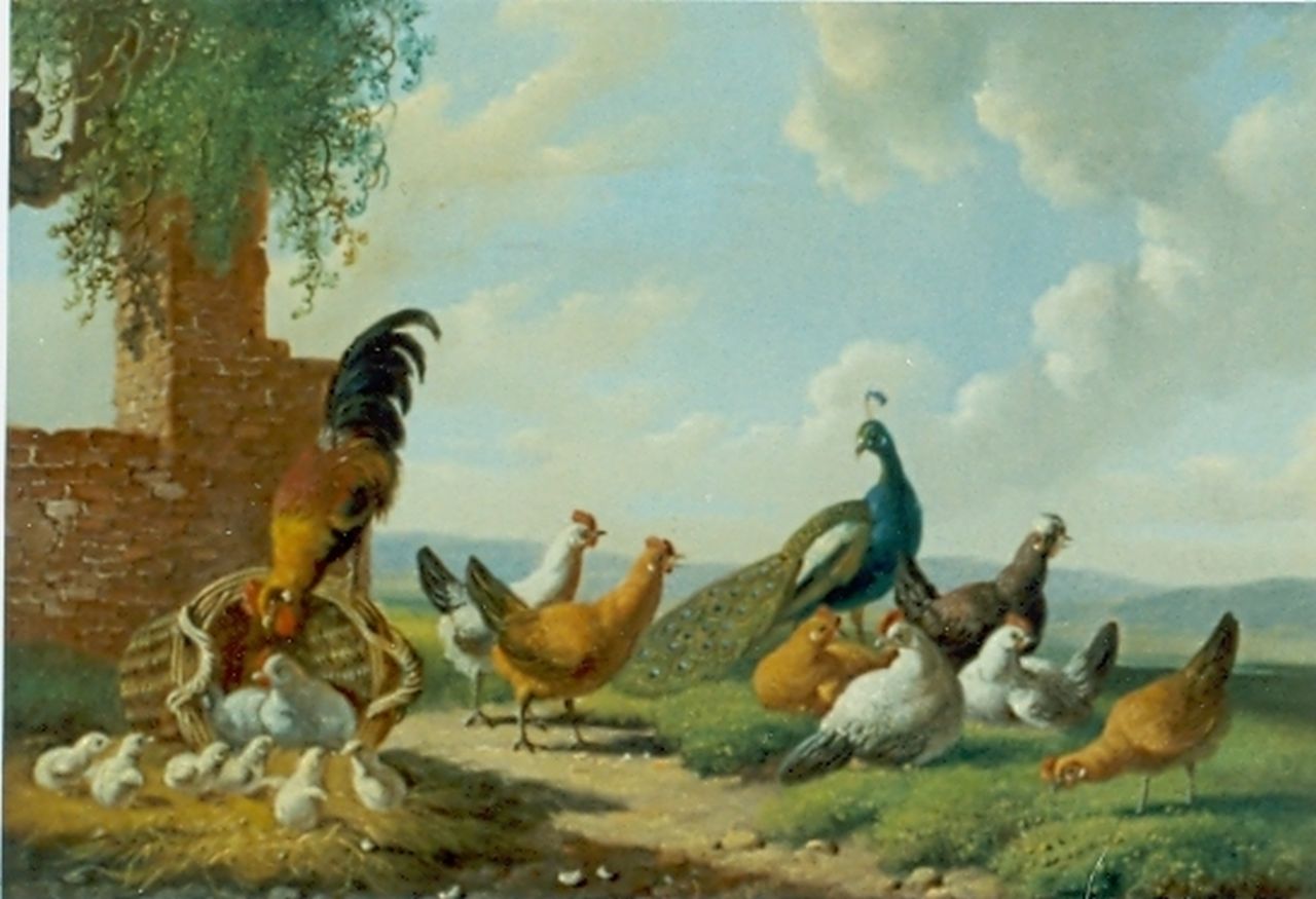 Verhoesen A.  | Albertus Verhoesen, Chickens and a peacock on a yard, oil on panel 13.2 x 17.3 cm, signed l.l. and dated 1874