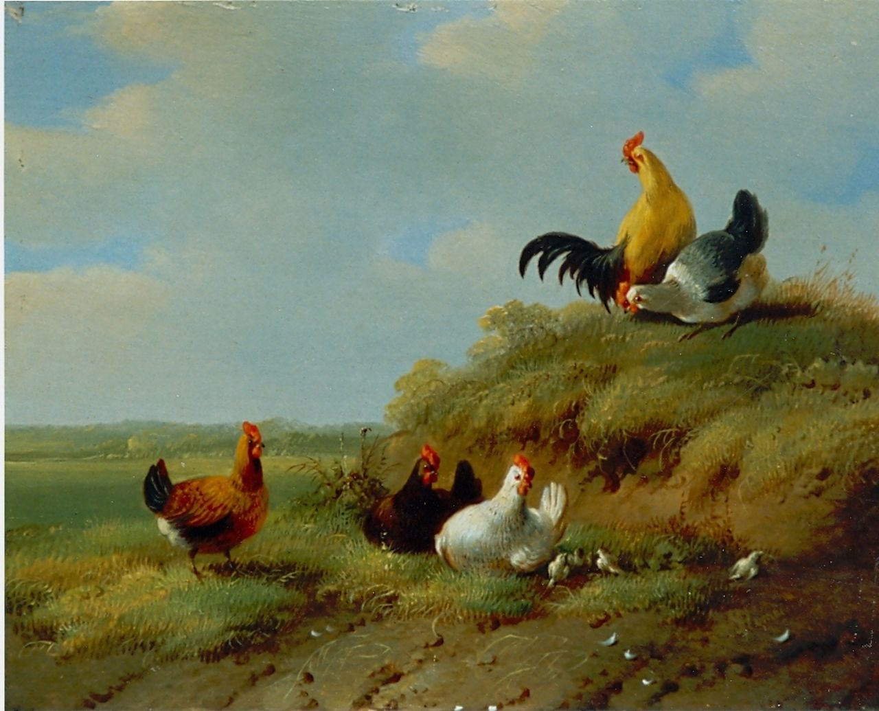 Verhoesen A.  | Albertus Verhoesen, Chickens and rooster, oil on panel 14.0 x 13.6 cm, signed l.r.