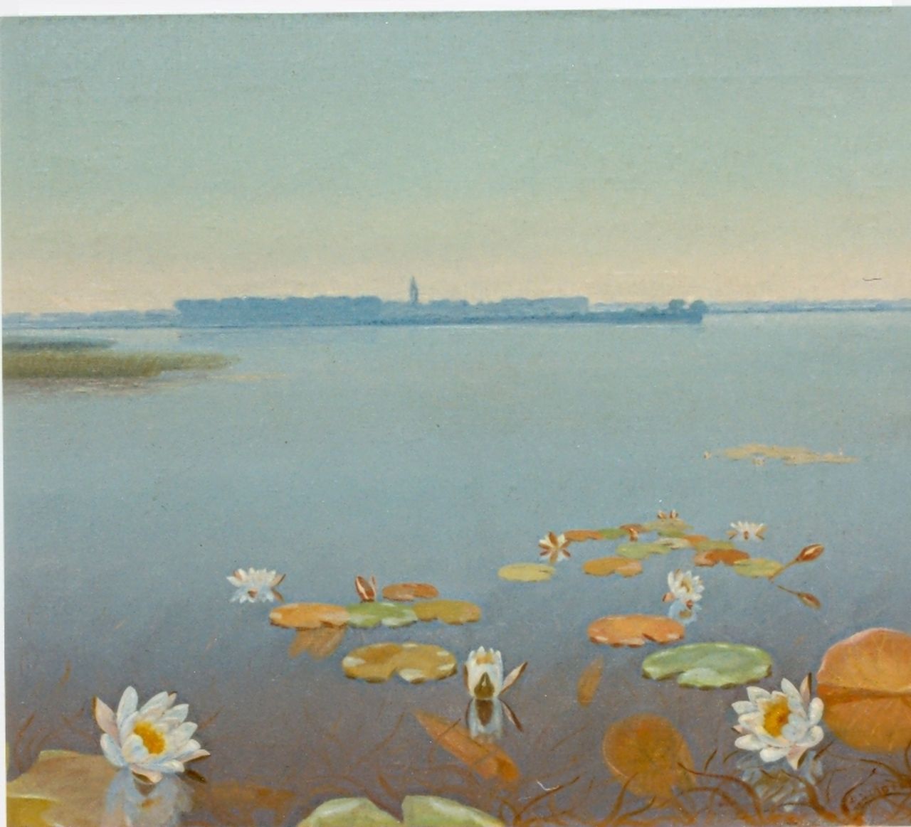 Smorenberg D.  | Dirk Smorenberg, Water lilies, Loosdrecht, oil on canvas 50.5 x 60.3 cm, signed l.r.