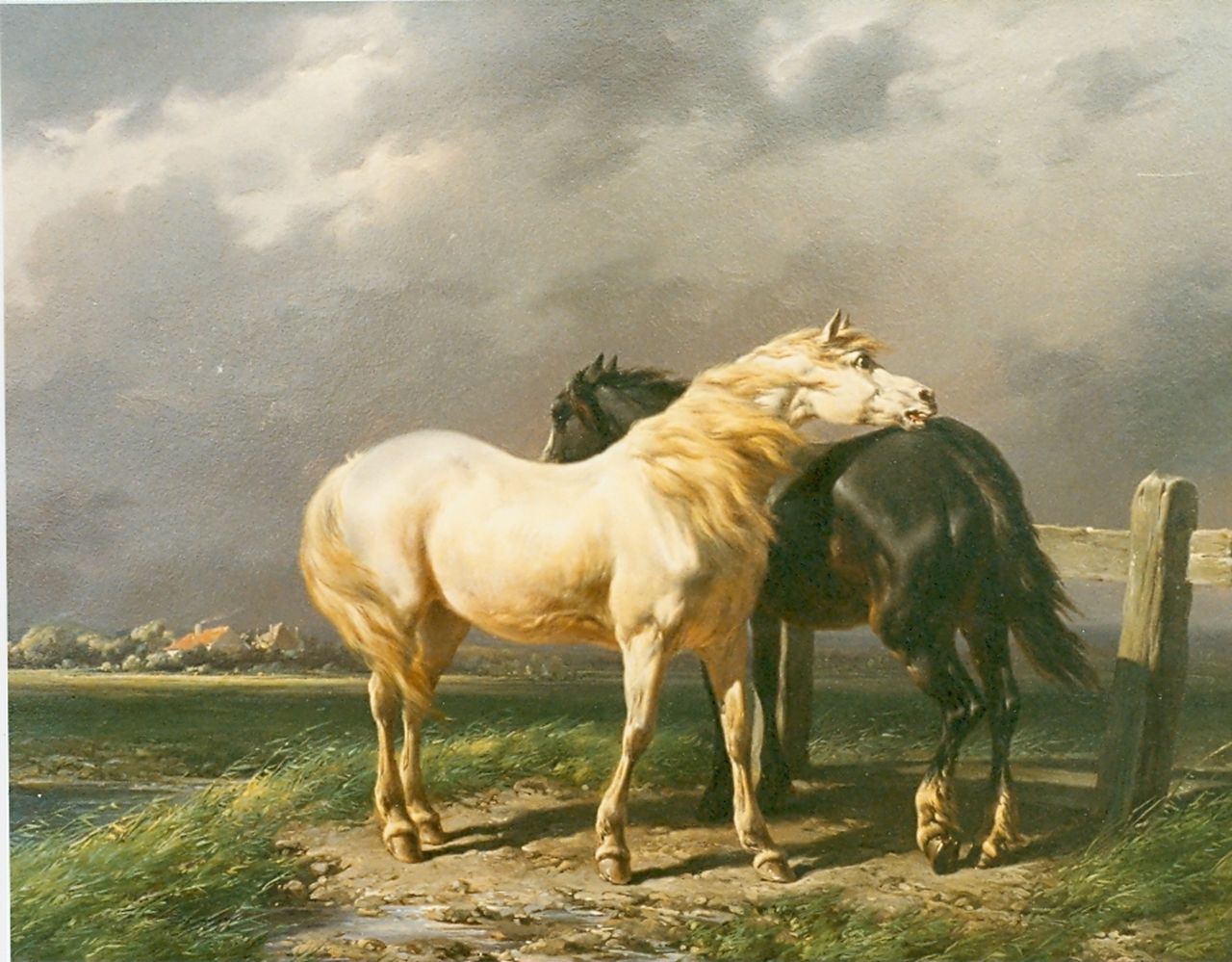 Verschuur W.  | Wouterus Verschuur, Horses in a meadow, oil on panel 28.0 x 36.0 cm, signed l.r.