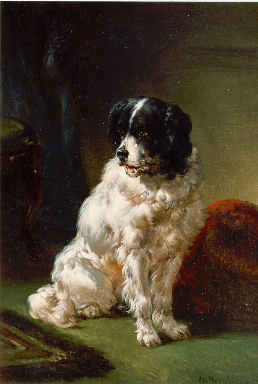 Verschuur W.  | Wouterus Verschuur, The painter's dog, oil on panel 20.0 x 15.0 cm, signed l.r.