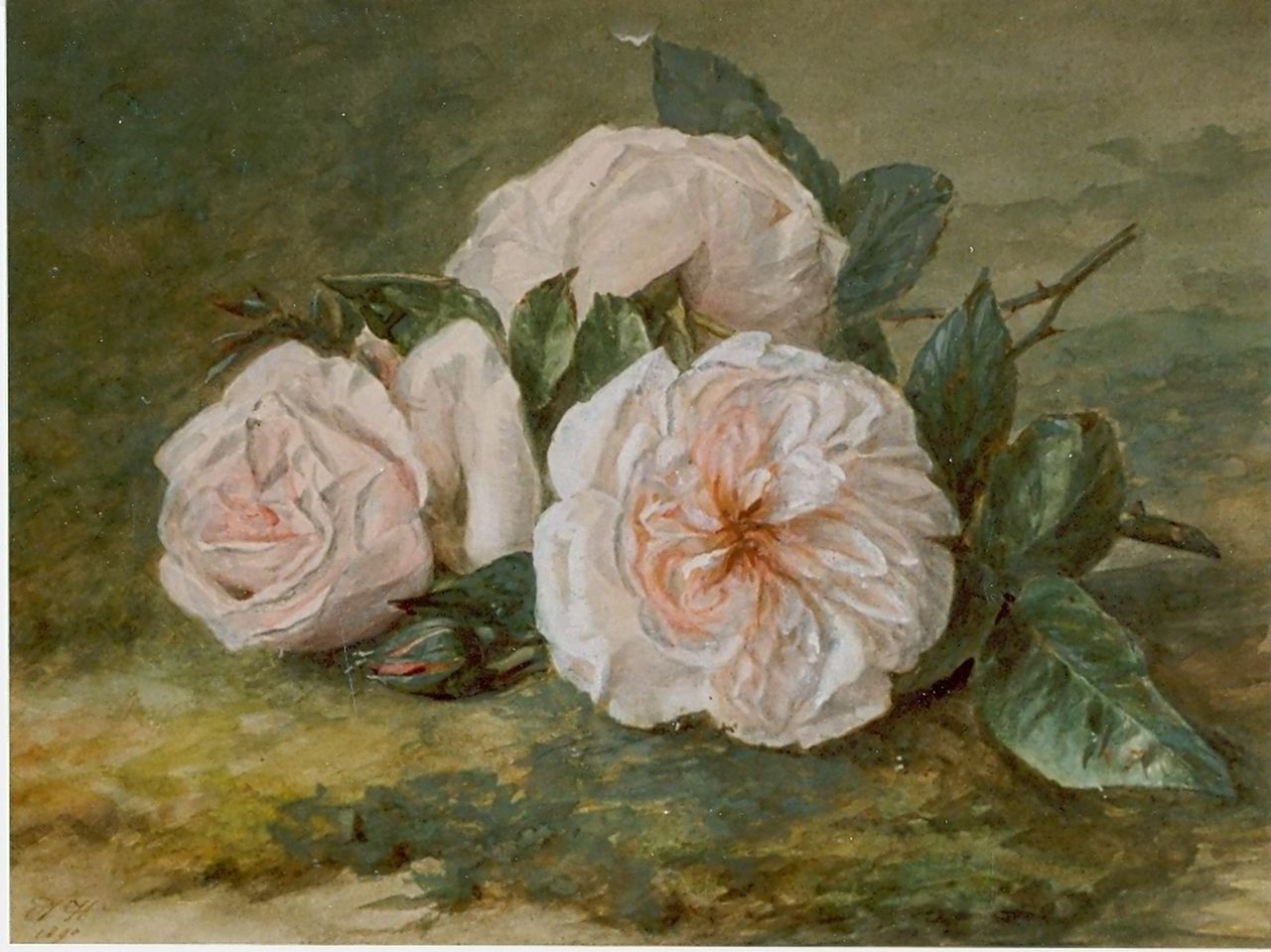 Haanen A.J.  | Adriana Johanna Haanen, A twig of pink roses, watercolour on paper 21.0 x 25.6 cm, signed l.l and dated 1890