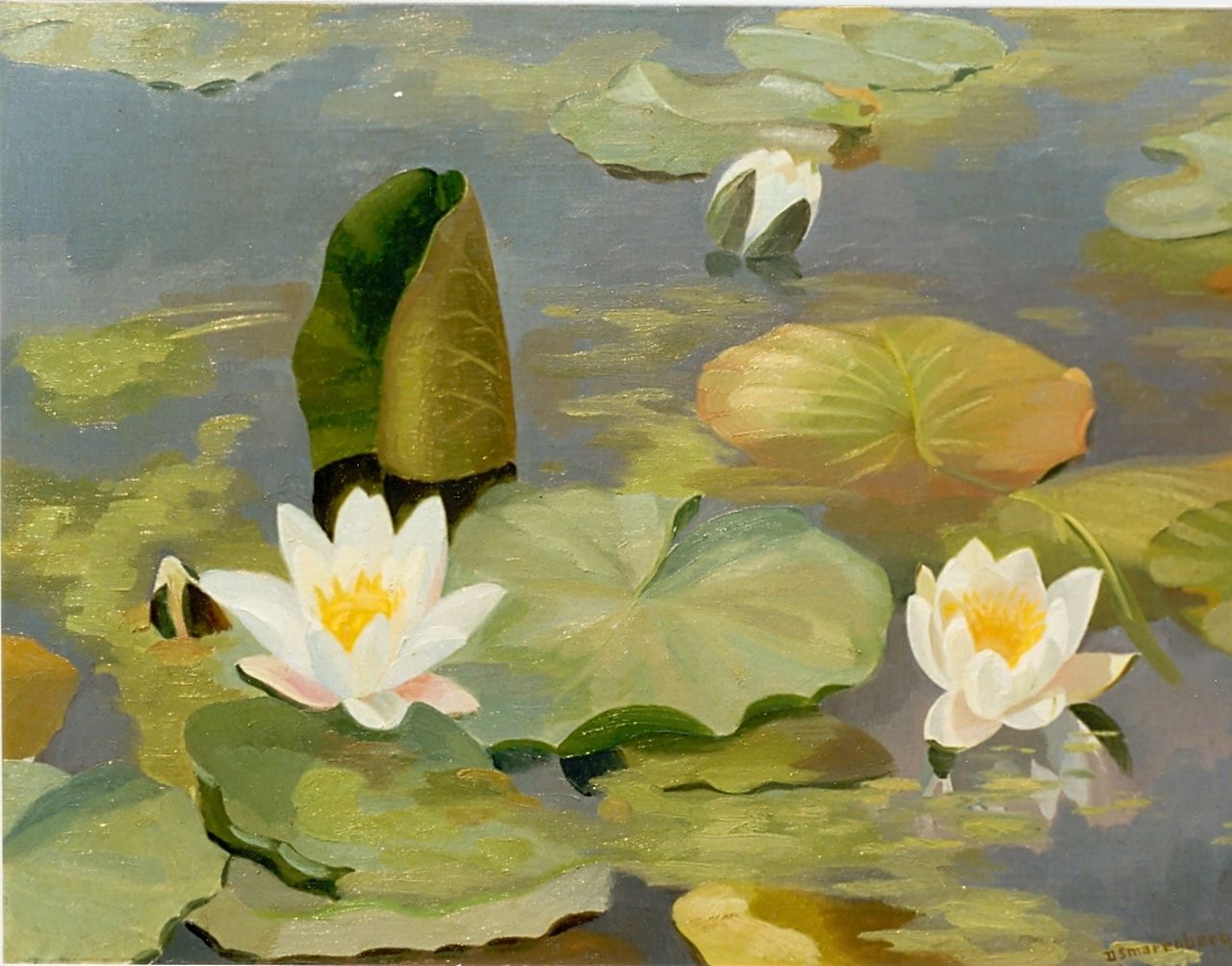 Smorenberg D.  | Dirk Smorenberg, Water lilies, oil on canvas 45.0 x 60.0 cm, signed l.r.