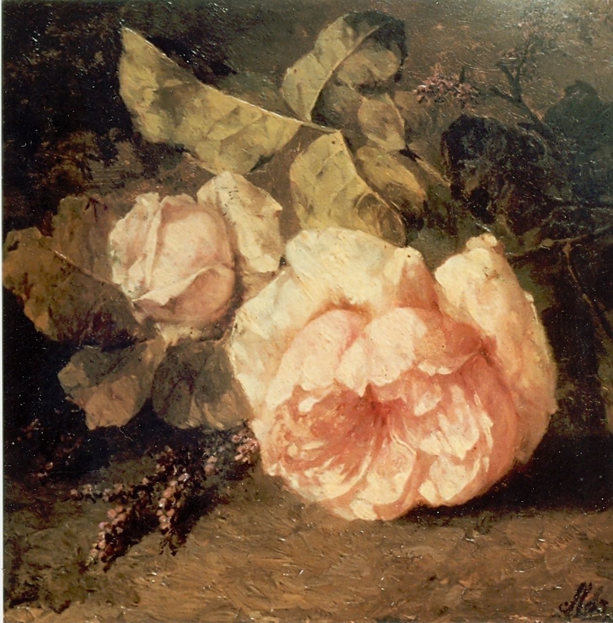 Roosenboom M.C.J.W.H.  | 'Margaretha' Cornelia Johanna Wilhelmina Henriëtta Roosenboom, Pink roses, oil on panel 22.0 x 30.0 cm, signed l.r.