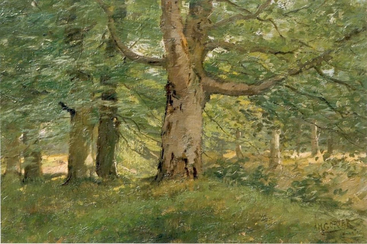 Gorter A.M.  | 'Arnold' Marc Gorter, Forest, oil on canvas 43.5 x 62.0 cm, signed l.r.