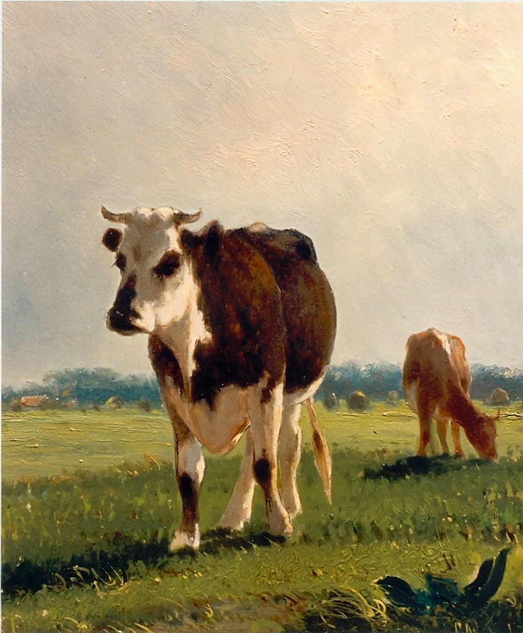 Westerbeek C.  | Cornelis Westerbeek, Cows in a meadow, oil on panel 29.6 x 25.2 cm, signed l.r.