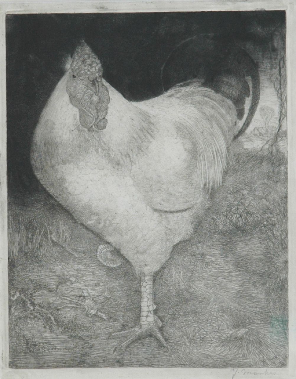 Mankes J.  | Jan Mankes, A rooster, etching on paper 26.0 x 21.0 cm, signed l.r. and painted circa 1917