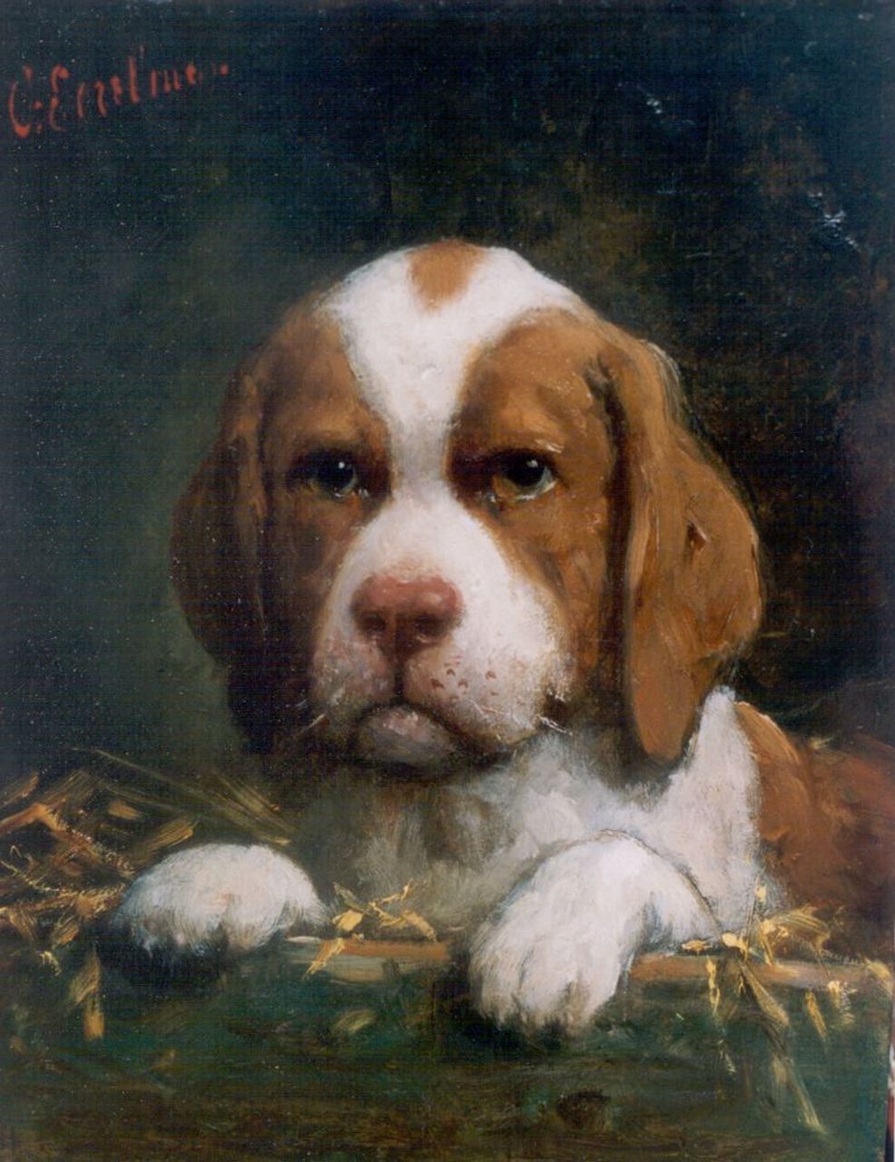 Eerelman O.  | Otto Eerelman, A puppy, oil on panel 27.3 x 21.2 cm, signed u.l.
