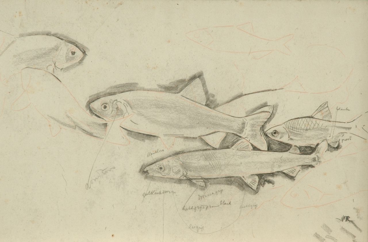 Dijsselhof G.W.  | Gerrit Willem Dijsselhof, Study of trouts, black chalk on paper 26.5 x 40.1 cm