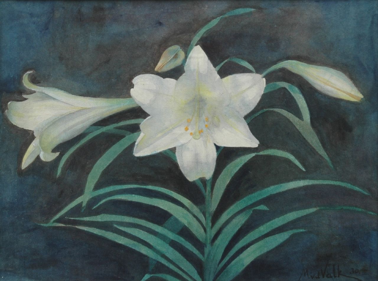 Valk M.W. van der | Maurits Willem van der Valk, White lilly, pencil and watercolour on paper 27.9 x 36.8 cm, signed l.r. and painted '30