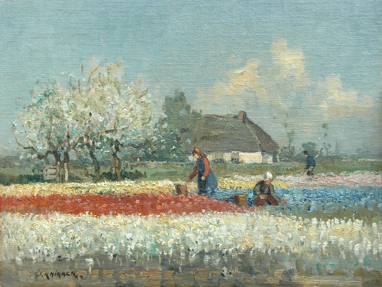 Knikker sr. J.S.  | 'Jan' Simon Knikker sr., Flower field; topping the heads of the bulbs, oil on canvas laid down on panel 25.2 x 33.5 cm, signed l.l.