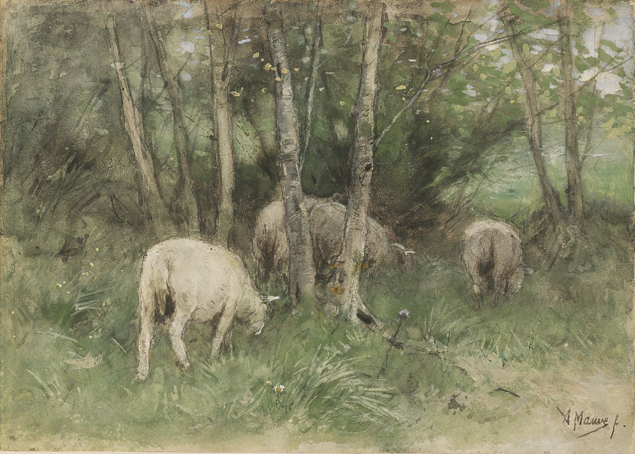 Mauve A.  | Anthonij 'Anton' Mauve, Grazing sheep among birch trees, pencil and watercolour on paper laid down on panel 25.1 x 35.1 cm, signed l.r.