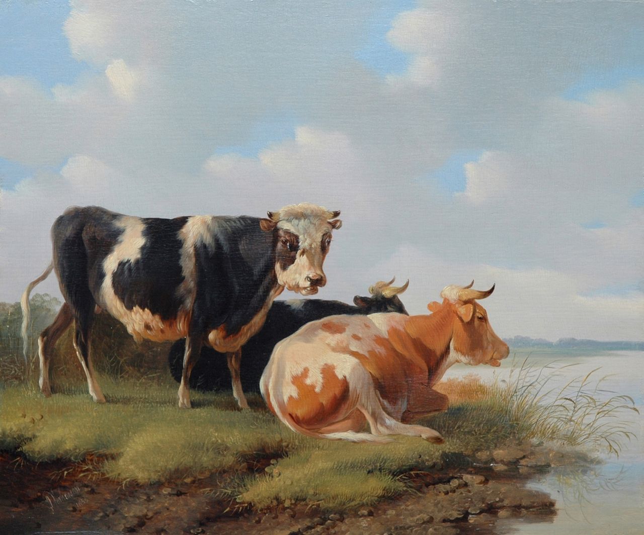 Verhoesen A.  | Albertus Verhoesen, A bull and cows near the water, oil on panel 27.9 x 33.7 cm, signed l.l. and painted 1856