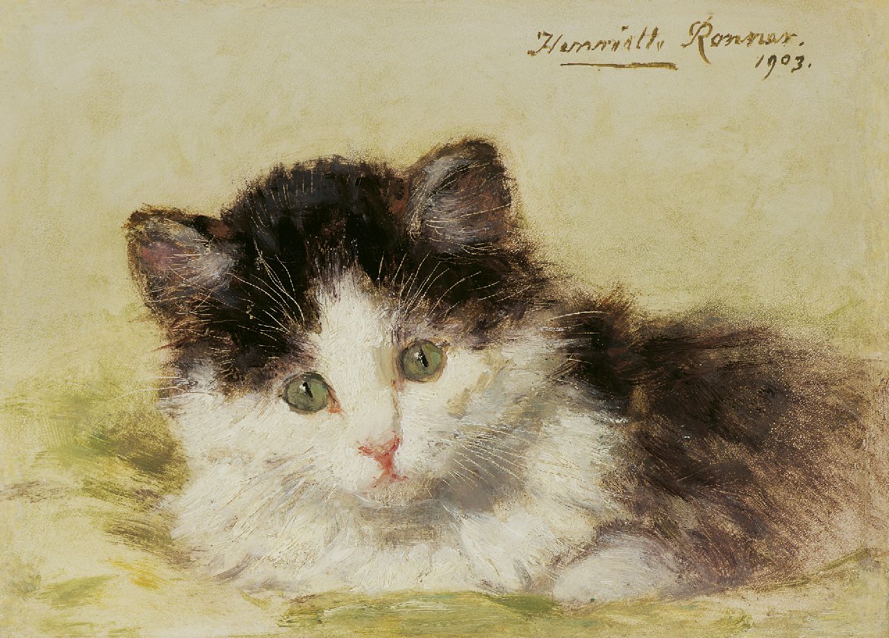 Ronner-Knip H.  | Henriette Ronner-Knip, A kitten, oil on panel 13.7 x 18.9 cm, signed u.r. and dated 1903