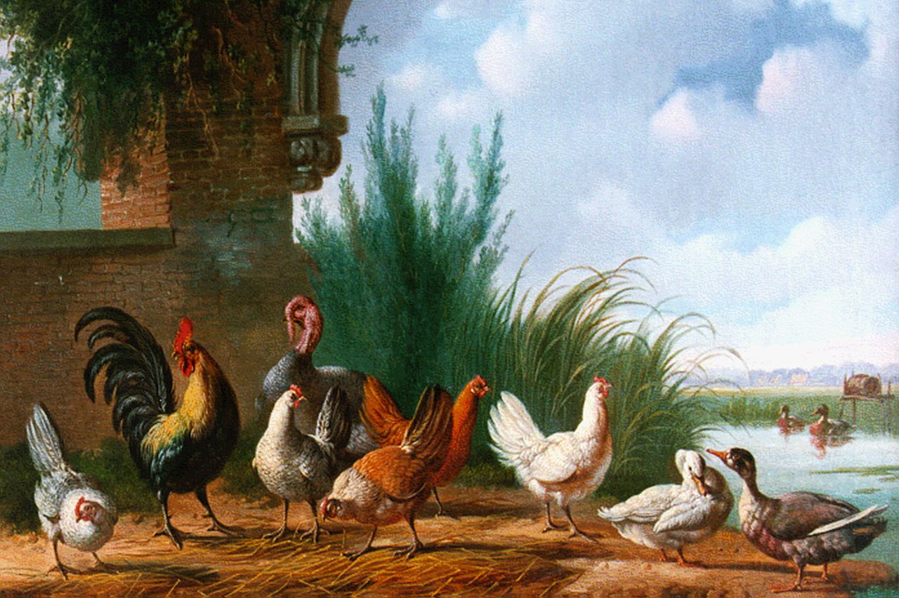 Verhoesen A.  | Albertus Verhoesen, Poultry on the riverbank, oil on canvas 34.3 x 46.0 cm, signed l.l. and dated 1863