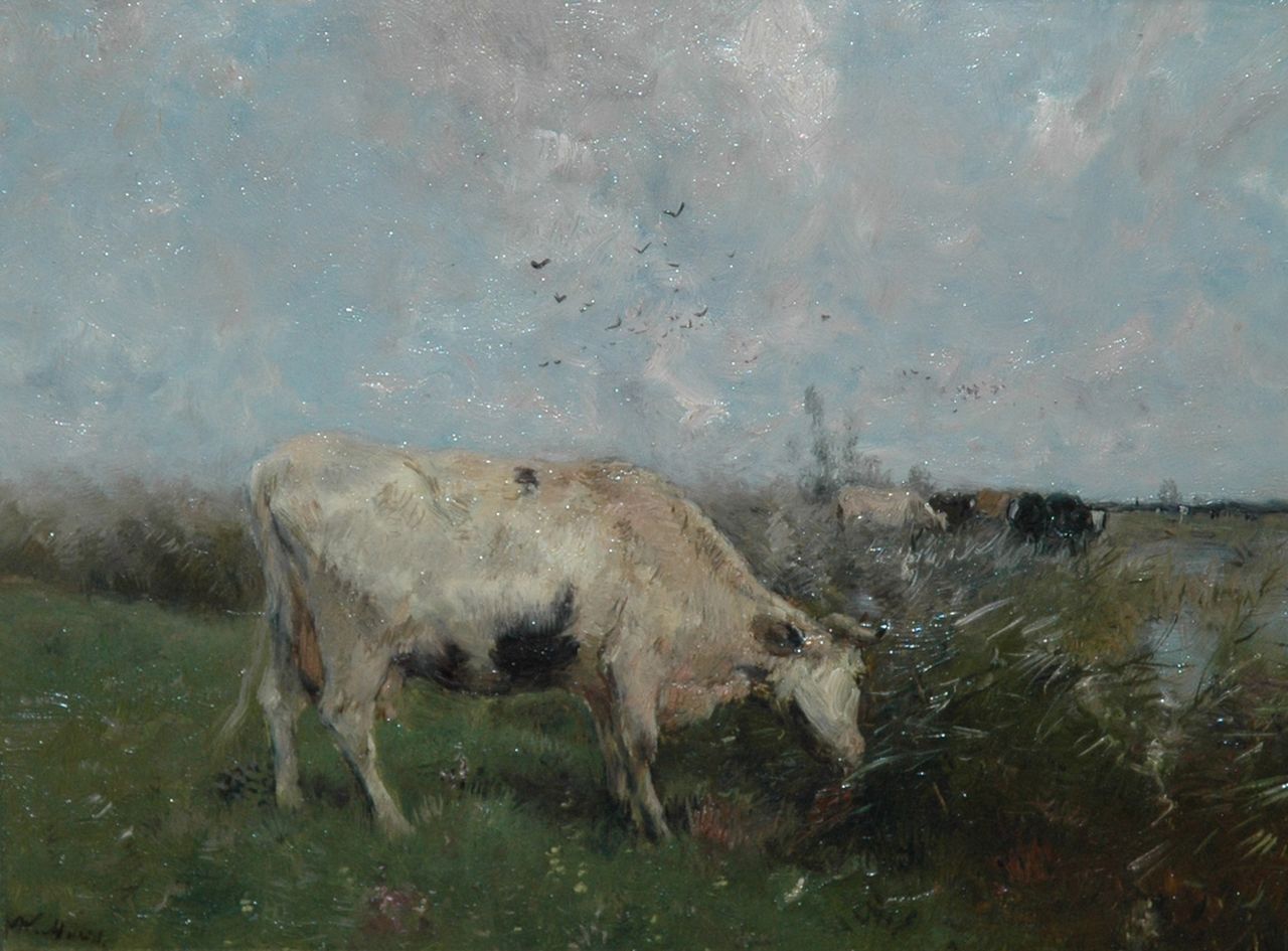 Maris W.  | Willem Maris, Cow at pasture, oil on panel 21.6 x 28.2 cm, signed l.l.