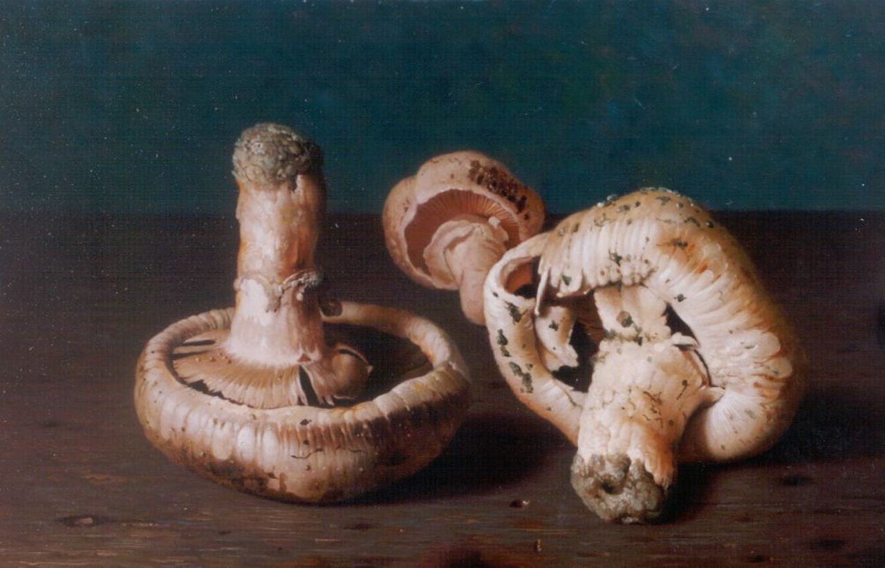 Bubarnik G.  | Gyula Bubarnik, Mushrooms on a stone ledge, copper 18.0 x 23.9 cm, signed l.r.