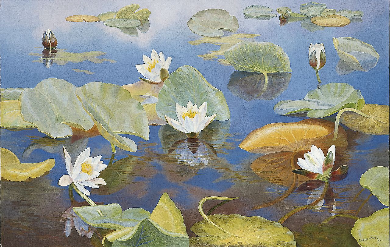 Smorenberg D.  | Dirk Smorenberg, Water lilies, oil on canvas 64.8 x 100.3 cm, signed l.r.