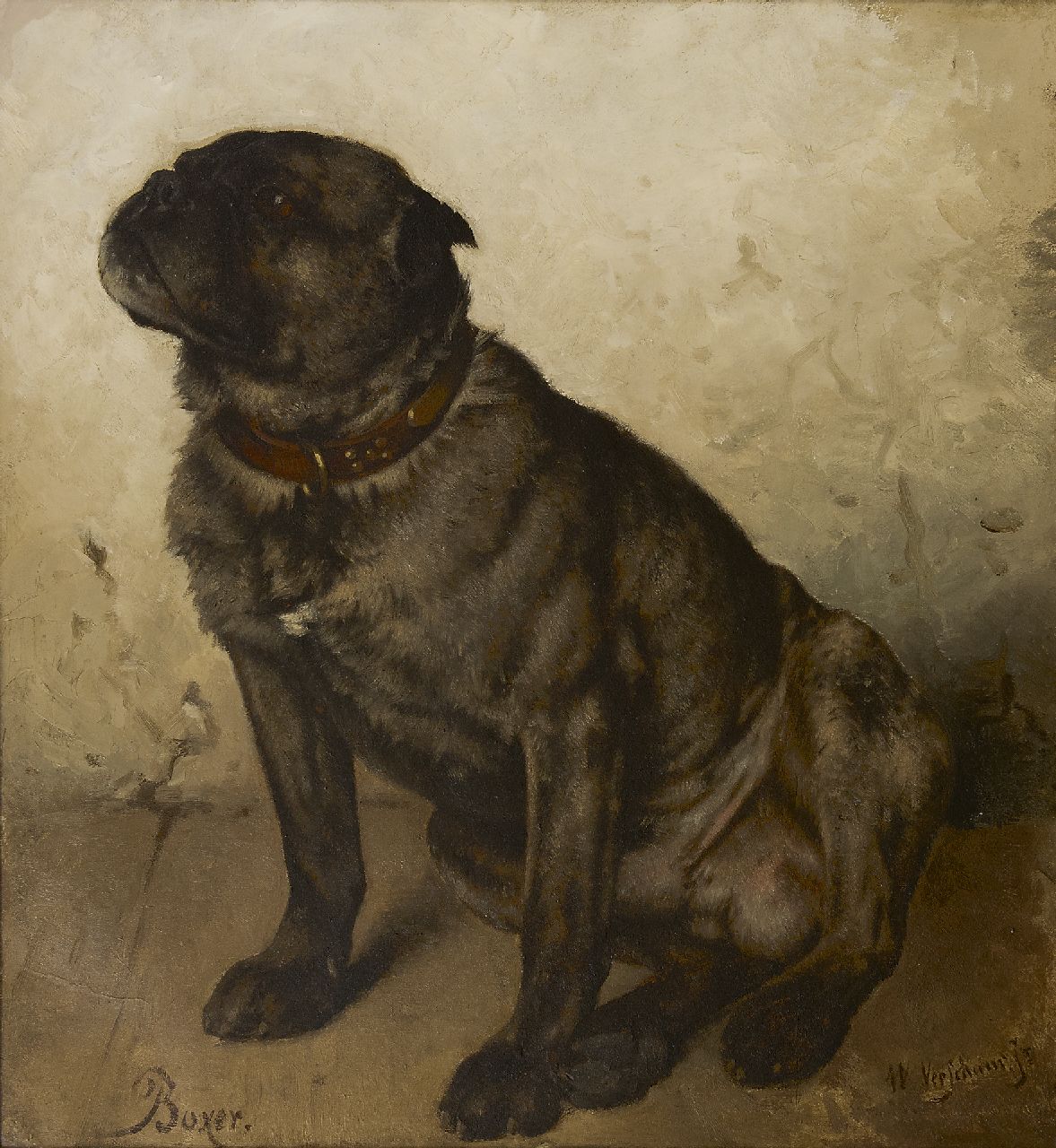 Wouter Verschuur jr. | A Boxer, oil on canvas, 53.4 x 49.2 cm, signed l.r.