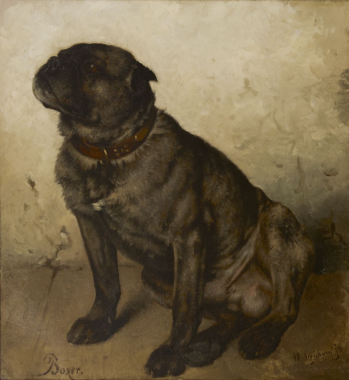 Verschuur jr. W.  | Wouter Verschuur jr., A Boxer, oil on canvas 53.4 x 49.2 cm, signed l.r.
