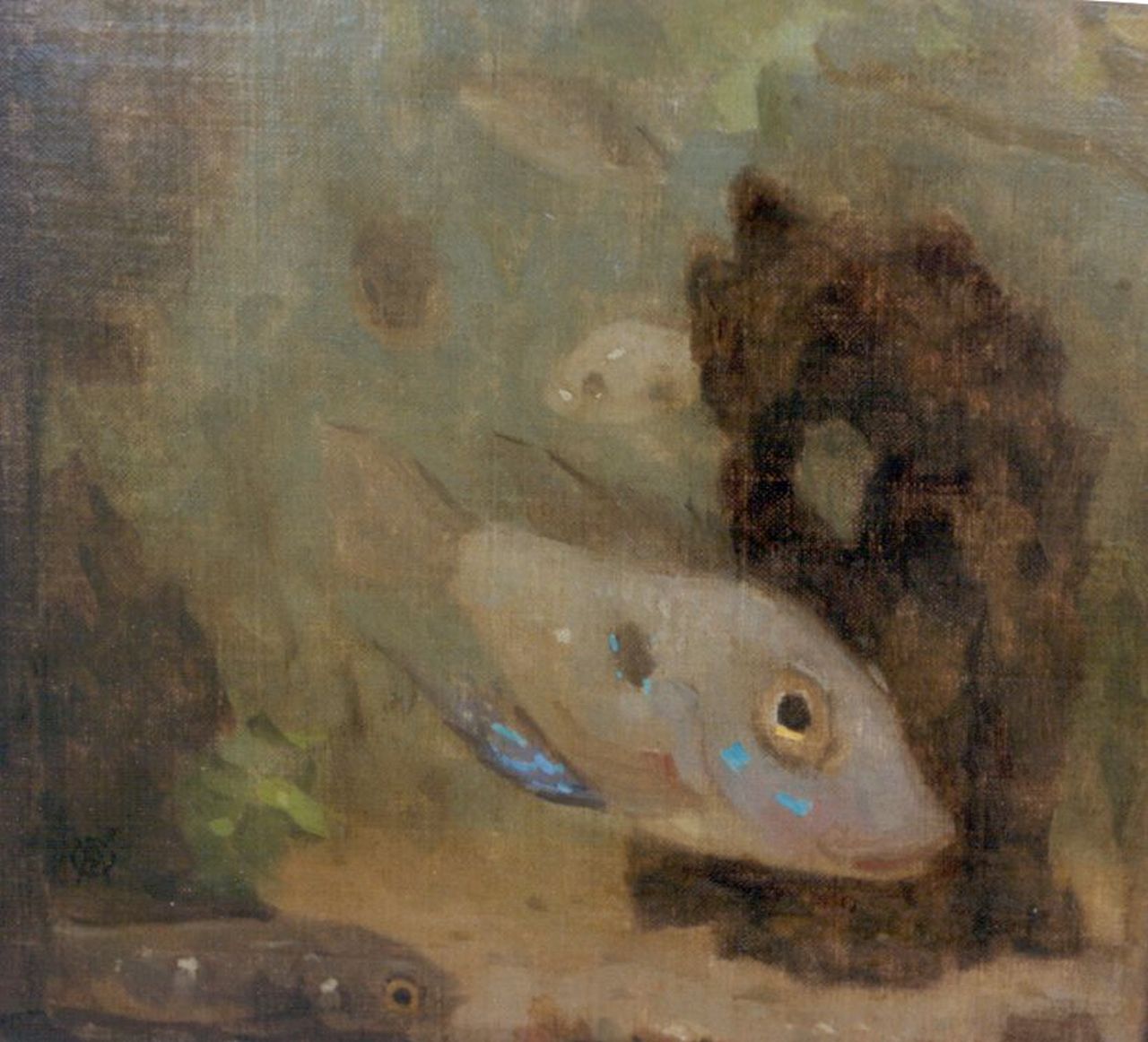 Dijsselhof G.W.  | Gerrit Willem Dijsselhof, Globefish, oil on canvas laid down on panel 17.6 x 18.5 cm, signed l.l.