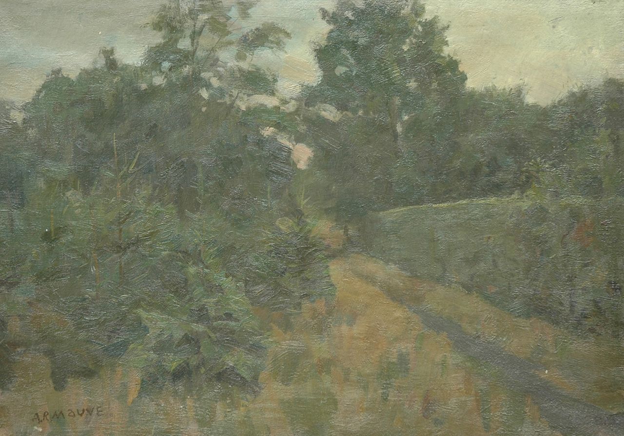 Mauve jr. A.R.  | Anton Rudolf Mauve jr., Forest path, oil on canvas 40.0 x 57.0 cm, signed l.l.