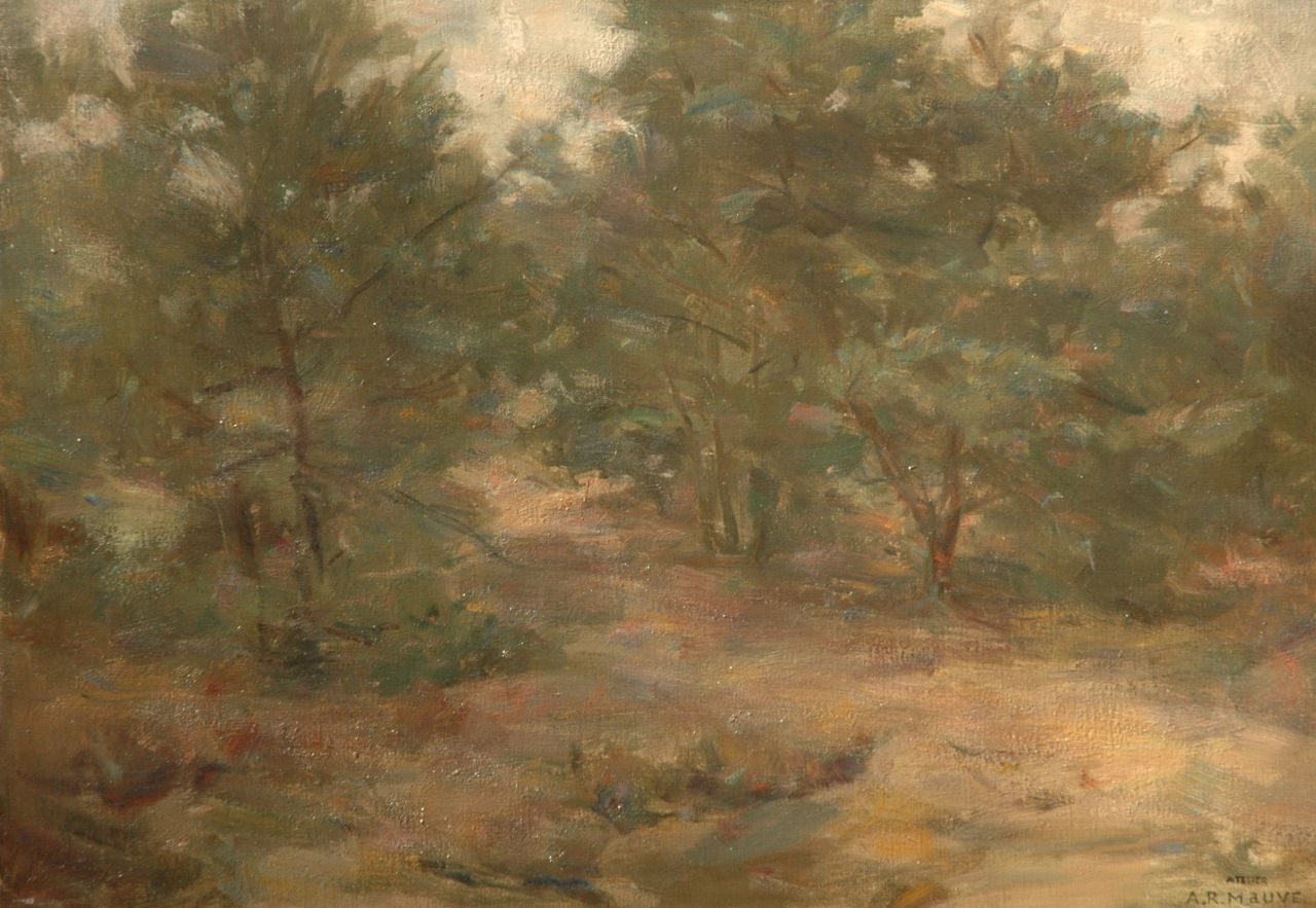 Mauve jr. A.R.  | Anton Rudolf Mauve jr., Forest path, oil on canvas 40.3 x 57.2 cm, gesigneerd rechtsonder met stempelsignatuur