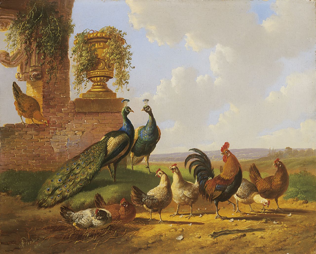 Verhoesen A.  | Albertus Verhoesen, Peacocks and chickens by a ruin, oil on panel 30.3 x 37.5 cm, signed l.l. and painted 1870