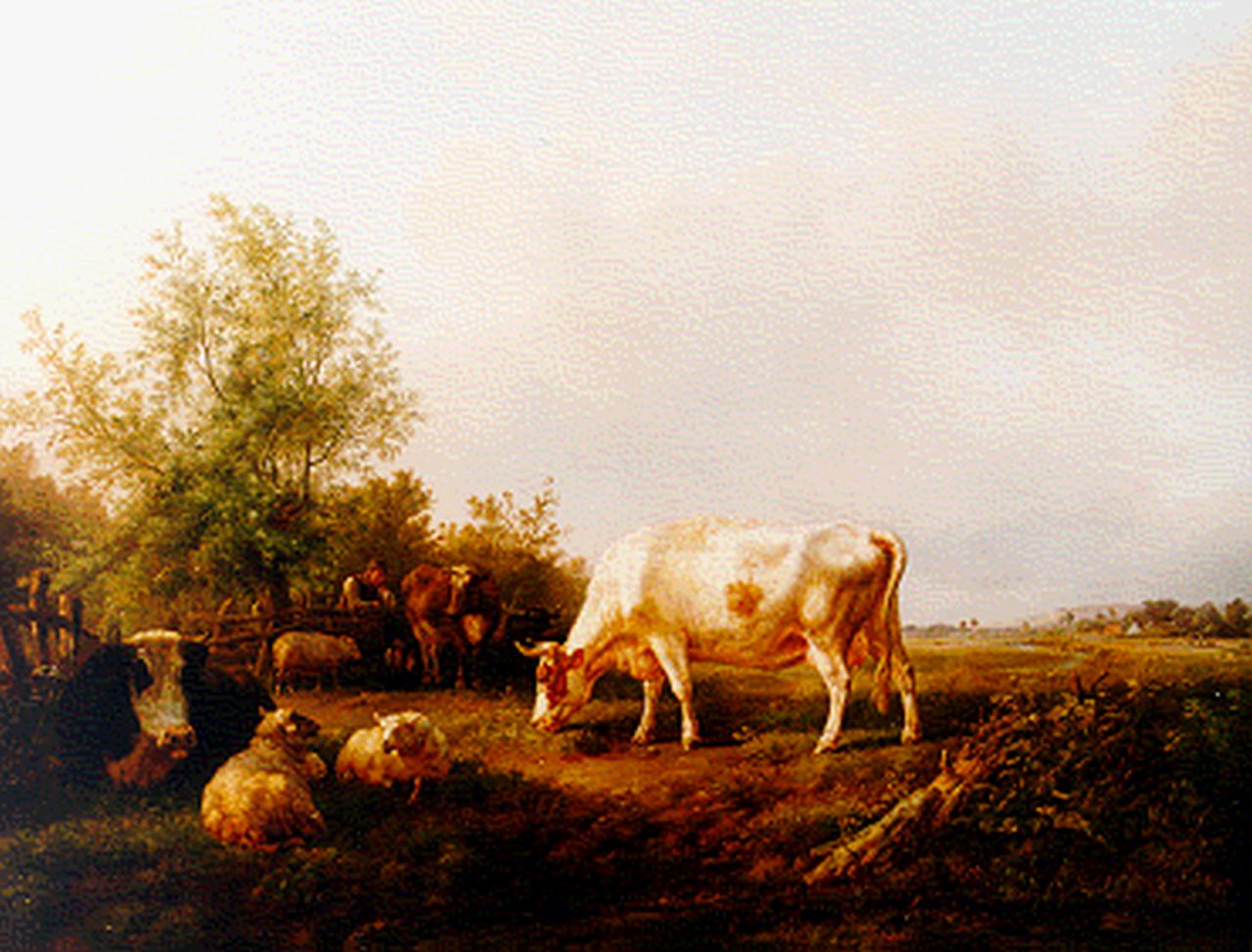 Tom J.B.  | Jan Bedijs Tom, Cows in summer landscape, oil on canvas 79.5 x 100.3 cm, signed l.l.