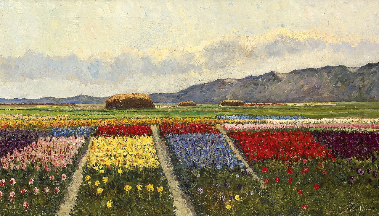 Grijseels L.  | Leo Grijseels, Bulb fields, oil on canvas 35.5 x 60.5 cm, signed l.r.