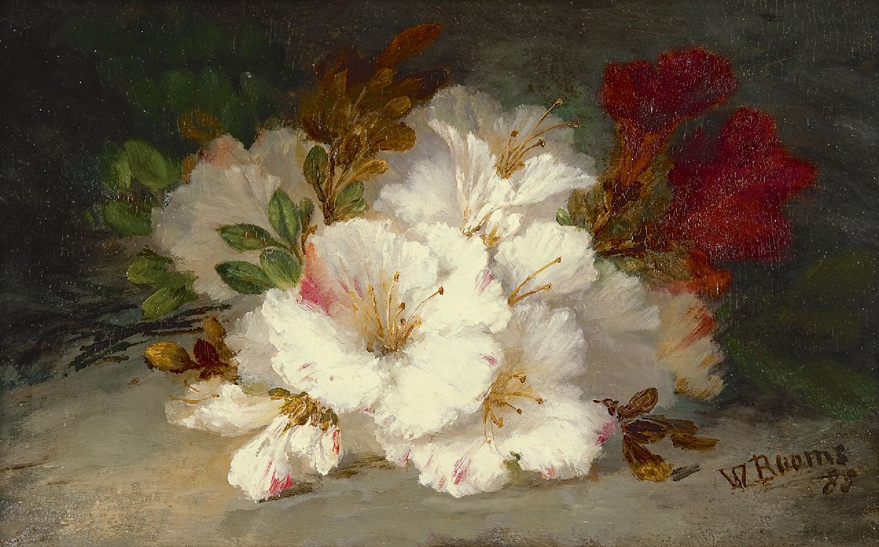 Booms W.C.G.  | Wilhelmine Christine Gerardine Booms, Azalea branches on a forest ground, oil on panel 19.9 x 32.2 cm, signed l.r. and painted '85