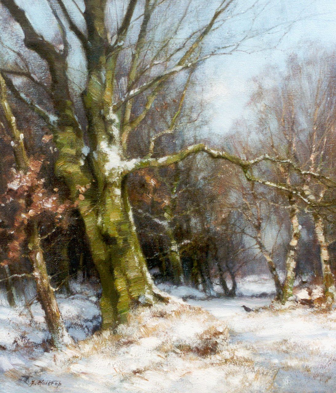 Holtrup J.  | Jan Holtrup, Winter in the Wolfheze forest, oil on canvas 40.4 x 35.7 cm, signed l.l.