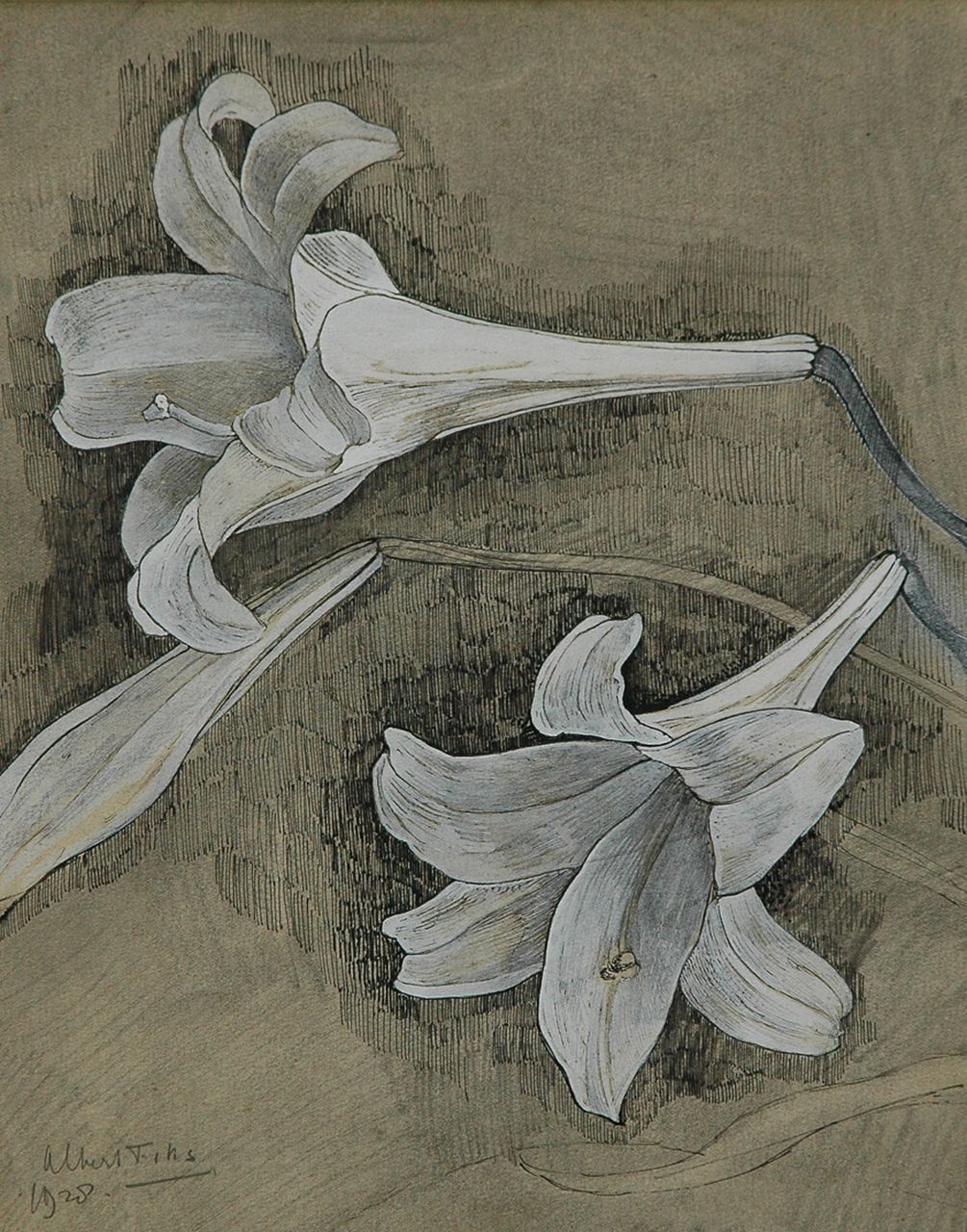 Fiks A.  | Albert Fiks, White lily flowers, pen, ink and gouache on paper 29.5 x 23.4 cm, signed l.l. and dated 1928