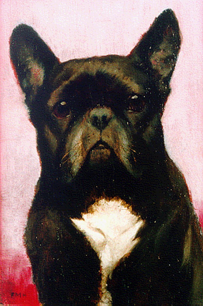 Francis Mabel Hollams | A French Bulldog, oil on panel, 24.3 x 16.2 cm, signed l.l. with initials