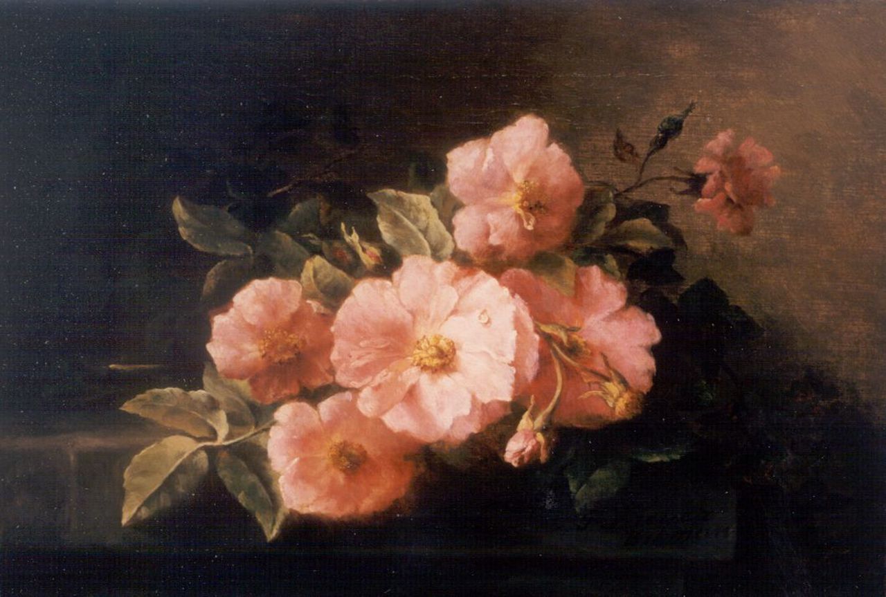 Breuer-Wikman F.  | Frederika Breuer-Wikman, Roses on a stone ledge, oil on canvas 30.0 x 43.6 cm, signed l.r.