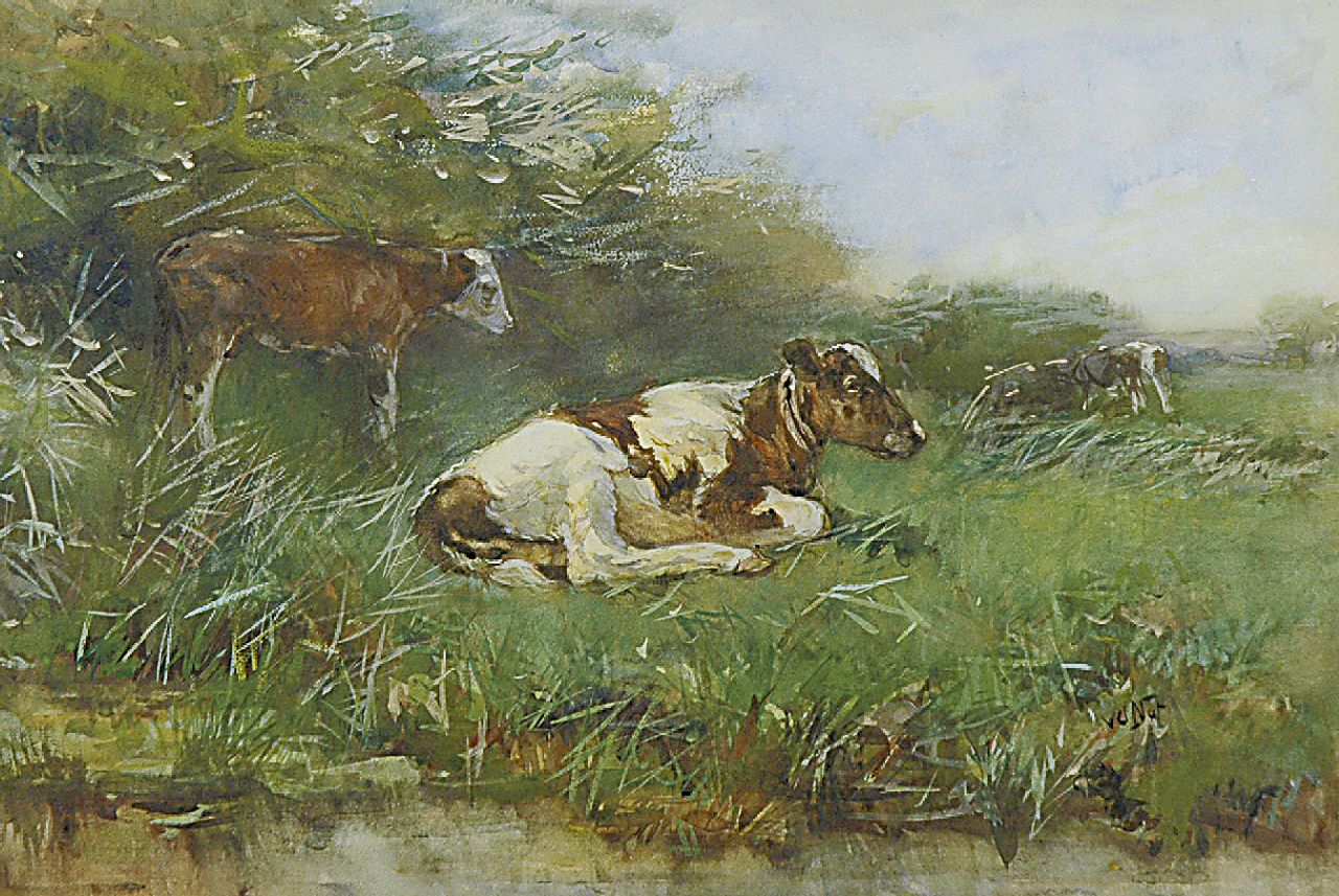 Nat W.H. van der | 'Willem' Hendrik van der Nat, Calfs in a pasture, watercolour on paper 33.3 x 49.6 cm, signed l.r.